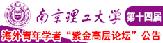 处女在线操南京理工大学第十四届海外青年学者紫金论坛诚邀海内外英才！